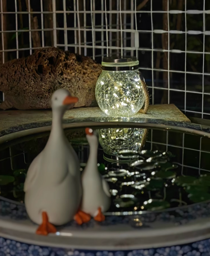 Incontrare una notte poetica! Piccola Luce d'Ambiente Illumina un Micro Angolo Romantico